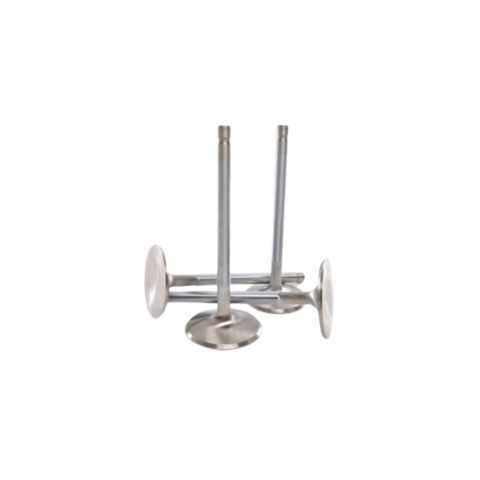 Valve Cottes 11/32 Stem image 1