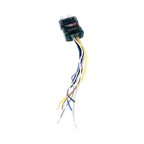 SLMLOCT2 - Cerwin Vega - STOKER 2-ch mini line output converter image 1