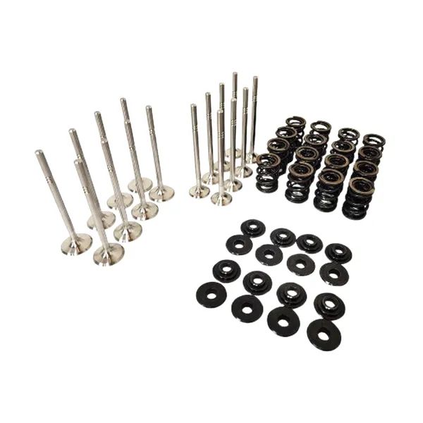 STK Performance Dual Racing Valve Spring + Valve Kit VW ABF