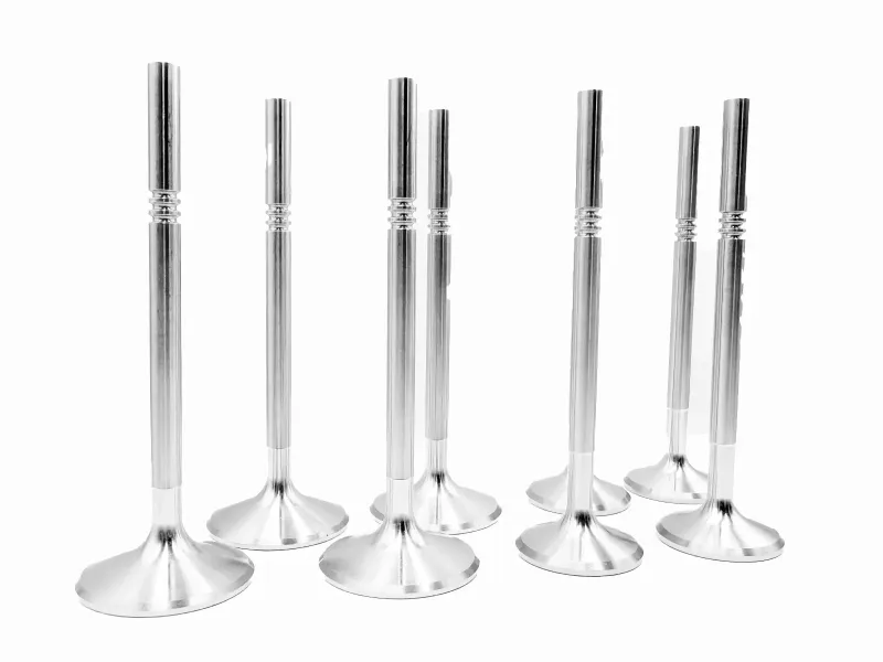 STK Performance Forged Stainless Steel Valve Set – Audi 1.8T 20V (214-N)