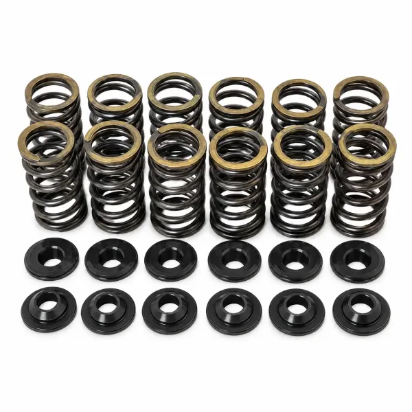 STK Performance Racing Valve Spring Kit Single + Valve Set VW/Audi EA888