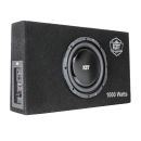 KBT - 10 Inch Flat Subwoofer in Ported Box with 1000W Amplifier image 1
