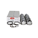 Chevy 350 V8 Pistons and Rings