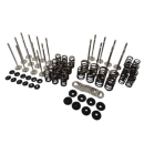 STK Performance Racing Dual Valve Spring Kit + 6mm Chromoly Retainers + Locators + Valve Set BMW S52
