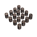 STK Performance Racing Dual Valve Spring Set – Toyota 3T