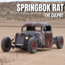 Springbok Rat - The Culprit