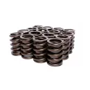 Edelbrock Sure Seat Valve Springs