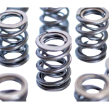 STK Performance - Dual Valve Spring Kit Ford Kent image 1