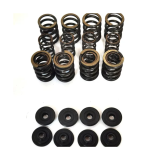 STK Performance - Dual Valve Spring Kit Audi 1.8T image 1
