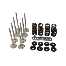 STK Performance - Dual Valve Spring Kit Audi 1.8T 20v image 1