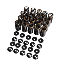 STK Performance - Single Valve Spring Kit VW R32 image 1