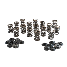 STK Performance - Dual Valve Spring Kit VW 16v image 1