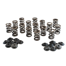 STK Performance - Dual Valve Spring Kit Opel 16v 6mm image 1