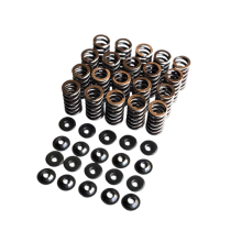 STK Performance - Single Valve Spring Kit Audi 2.5TFSI image 1